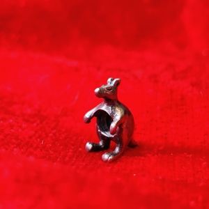 Kangaroo charm